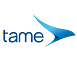 logo TAME