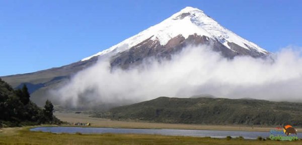 Cotopaxi Tour 1 day