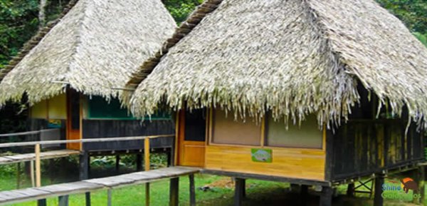 Cuyabeno River Lodge Rooms