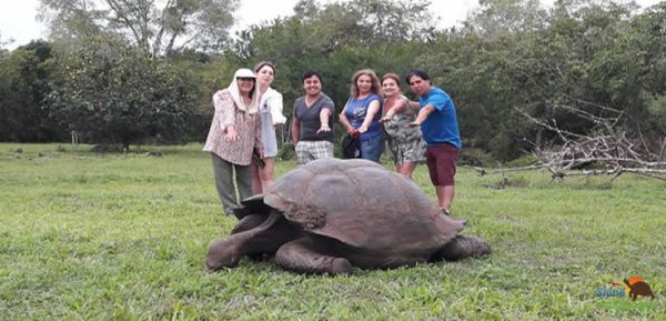 El Chato Galapagos