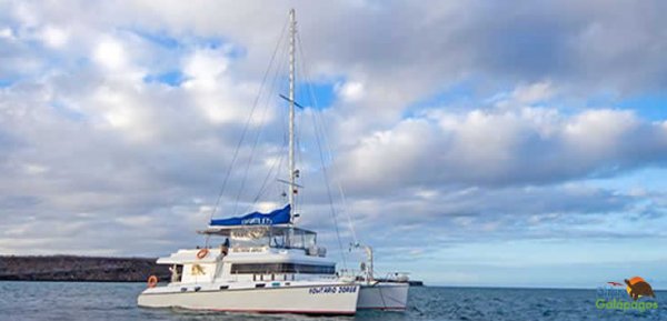 Lonesome George Yacht Catamaran