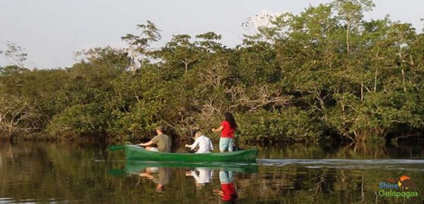 Magic River Laguna Grande