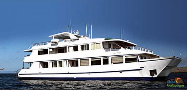 millennium catamaran