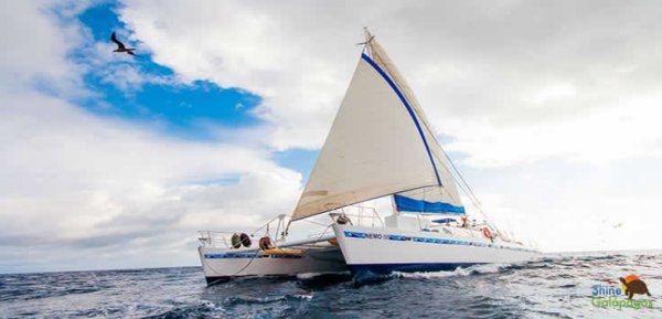 Nemo III Yacht Catamaran