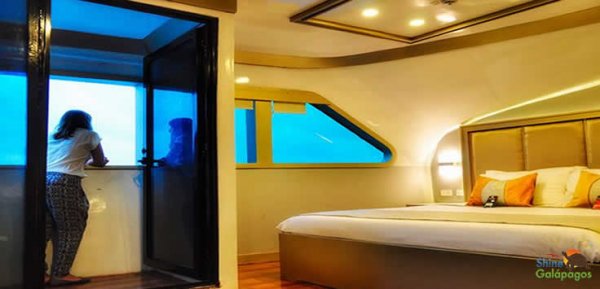 Sea Star Journey Matrimonial Cabin