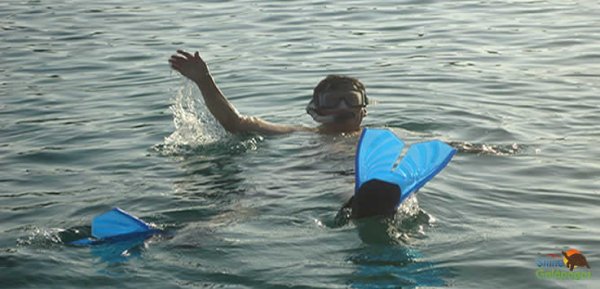 Snorkeling Galapagos