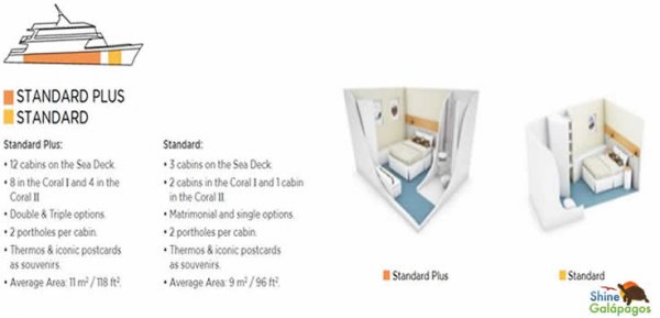 Standart deck Plan Coral II