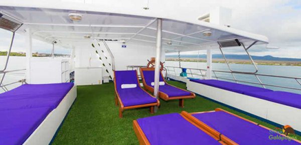 estrella-de-mar-sun-deck_p190_hd estrella-de-mar-sun-deck_p190_hd
