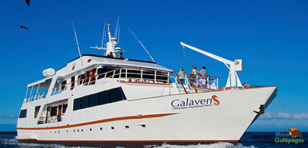 galaven-yacht_p101_hd