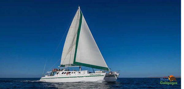 nemo-ii-yacht-catamaran_p213_hd